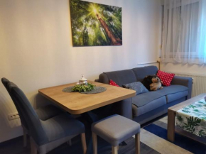 Charm & Cozy APT Miramarska